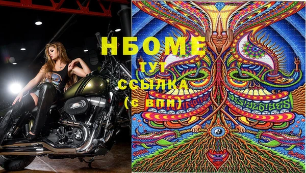 ПСИЛОЦИБИНОВЫЕ ГРИБЫ Балабаново