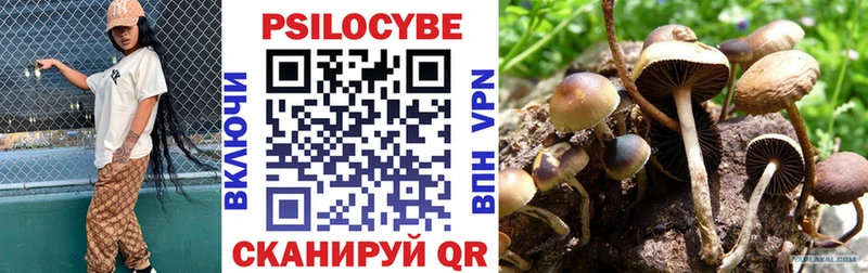 Псилоцибиновые грибы Psilocybe Петров Вал