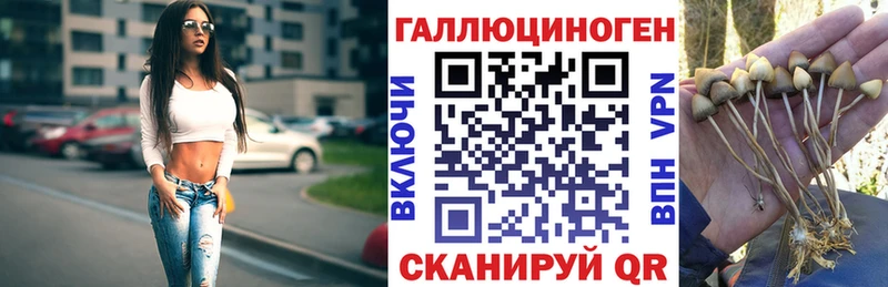 Галлюциногенные грибы прущие грибы  Петров Вал 